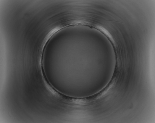 X0000088200946200705221720