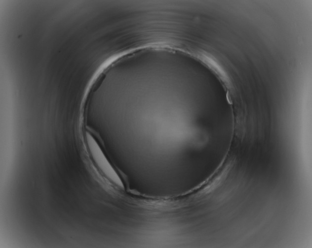 X0000088200948200705221720