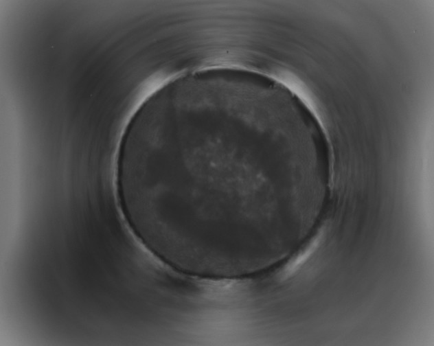 X0000088200949200705221720