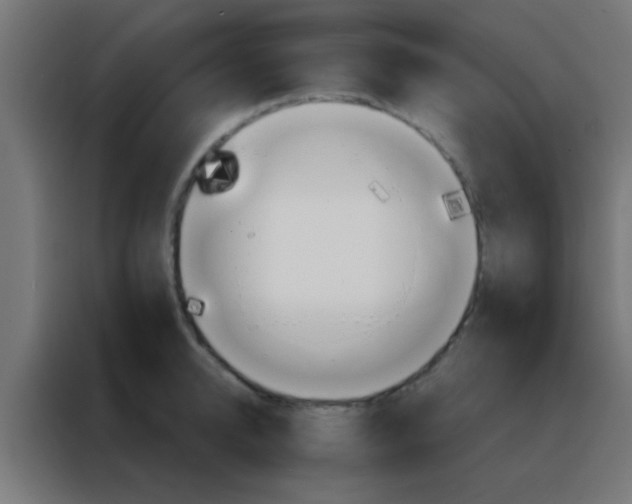 X0000088200950200705221720