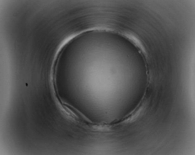 X0000088200952200705221720