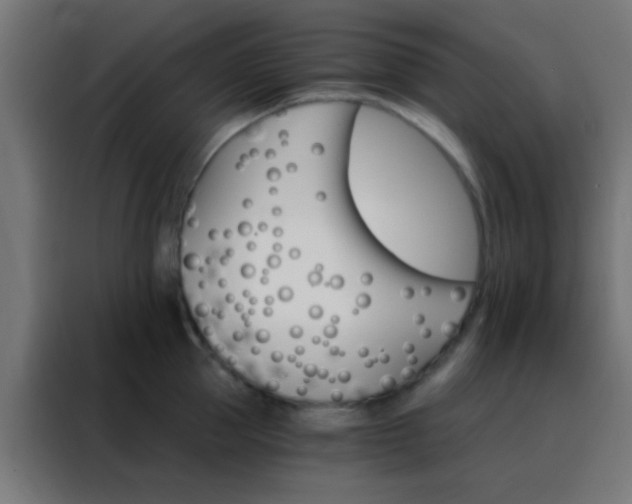 X0000088200953200705221720