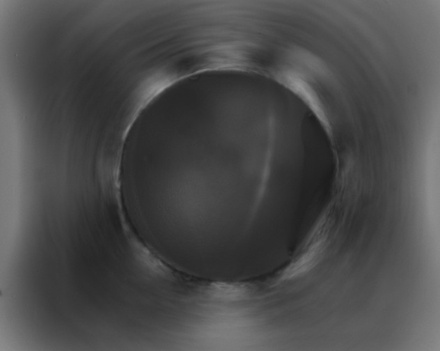 X0000088200954200705221720