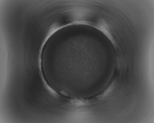 X0000088200955200705221720