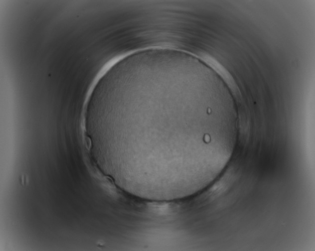 X0000088200956200705221720