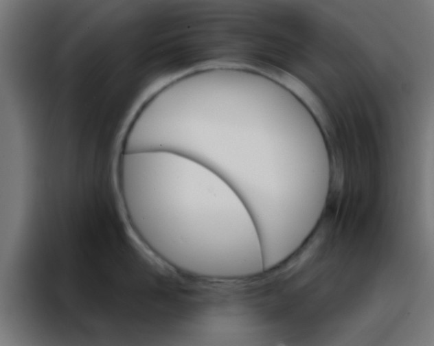 X0000088200958200705221720