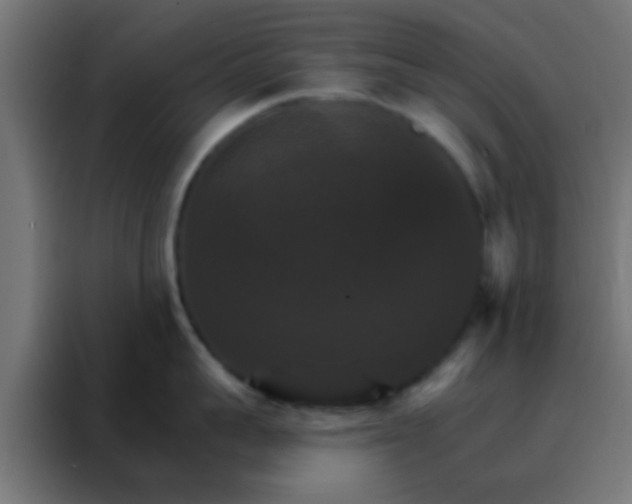 X0000088200959200705221720