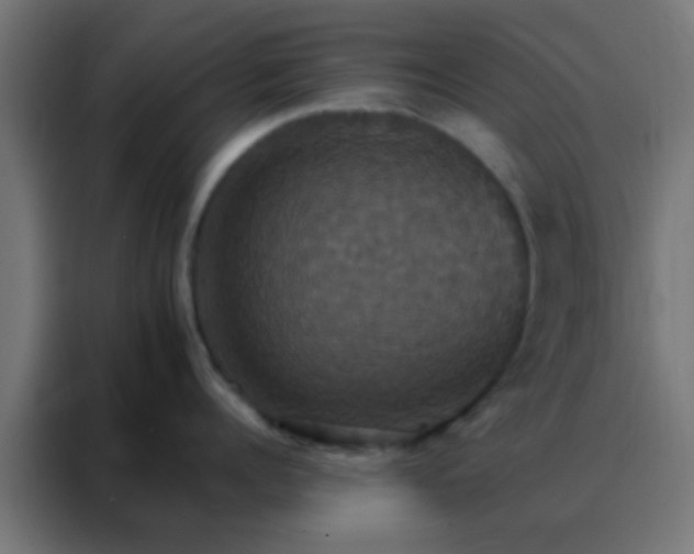 X0000088200960200705221720