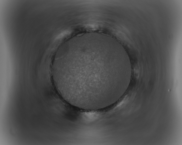 X0000088200961200705221719