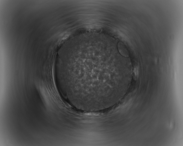 X0000088200963200705221719
