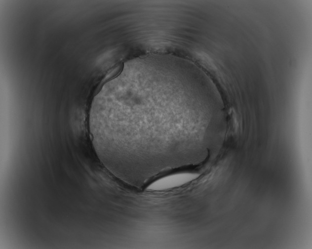 X0000088200964200705221719