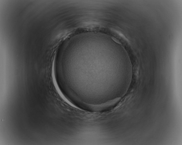 X0000088200965200705221719