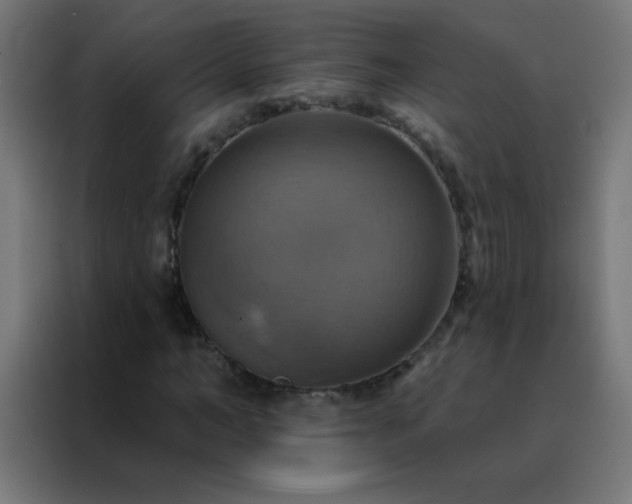 X0000088200966200705221719