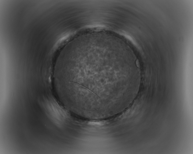 X0000088200967200705221719