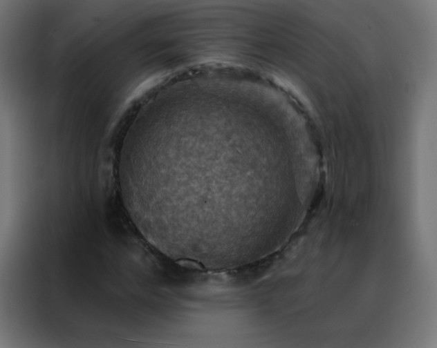 X0000088200968200705221719