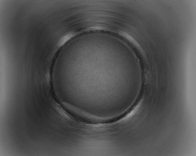 X0000088200969200705221719