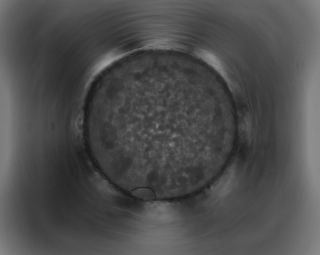 X0000088200971200705221719