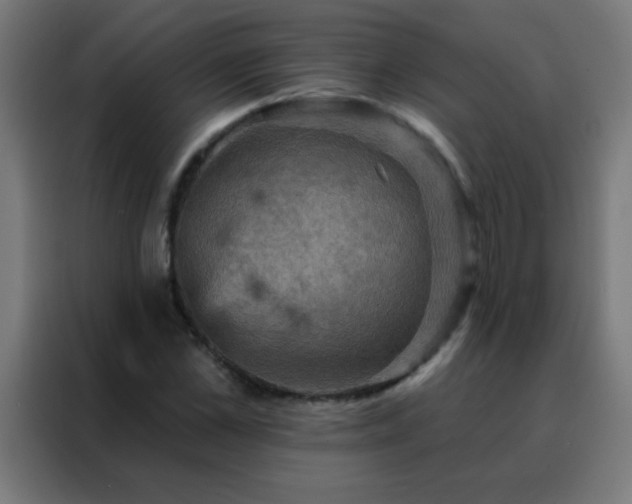 X0000088200973200705221719