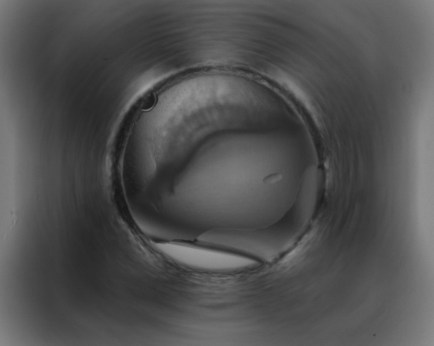 X0000088200975200705221719