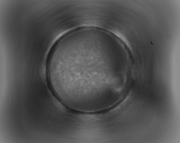 X0000088200976200705221719