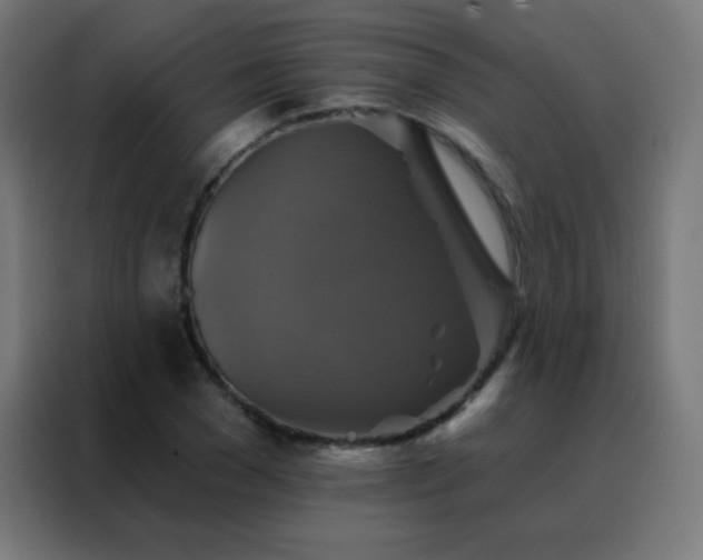 X0000088200977200705221719