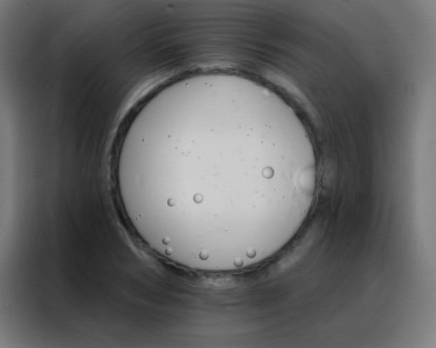 X0000088200978200705221719