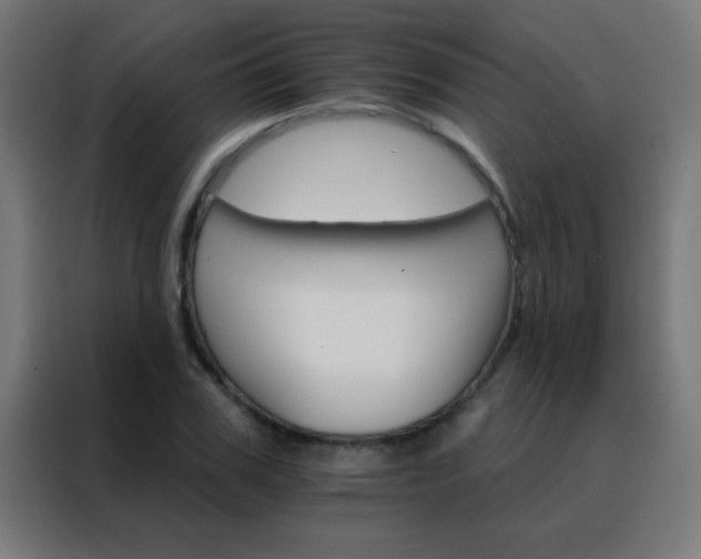 X0000088200979200705221719