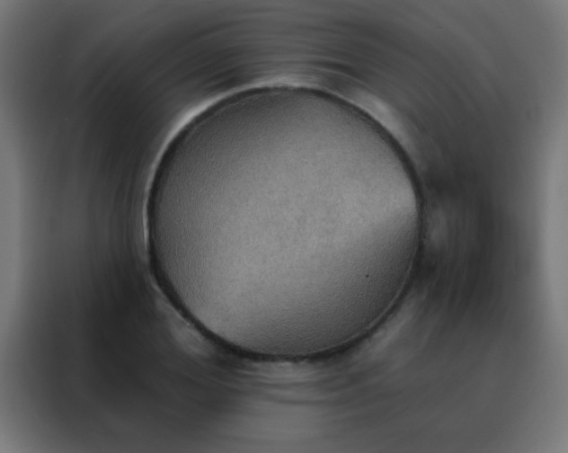 X0000088200980200705221719