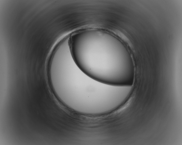 X0000088200981200705221719