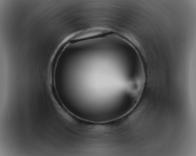 X0000088200984200705221719