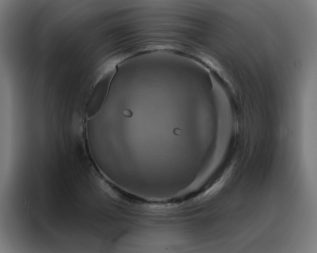 X0000088200985200705221719