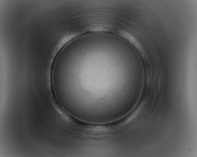 X0000088200986200705221719