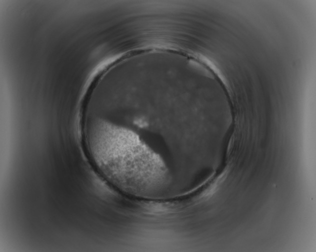 X0000088200987200705221719