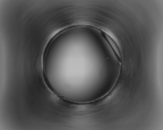 X0000088200988200705221719