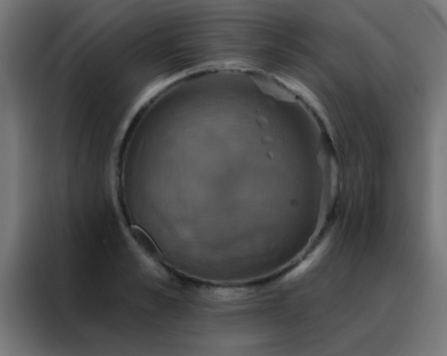 X0000088200989200705221719