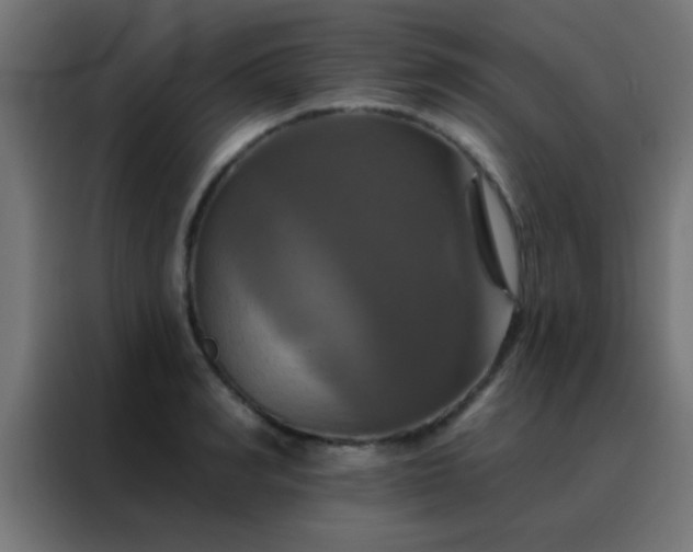 X0000088200990200705221719