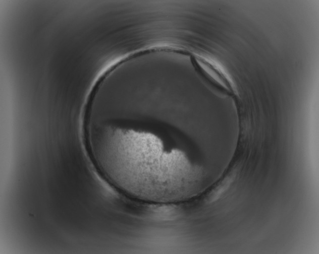 X0000088200991200705221719