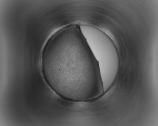 X0000088200992200705221719