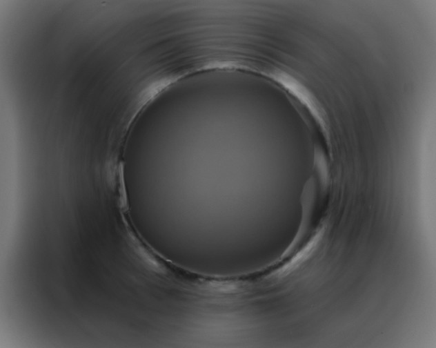 X0000088200993200705221719