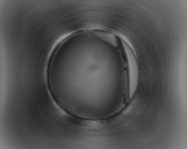 X0000088200995200705221719