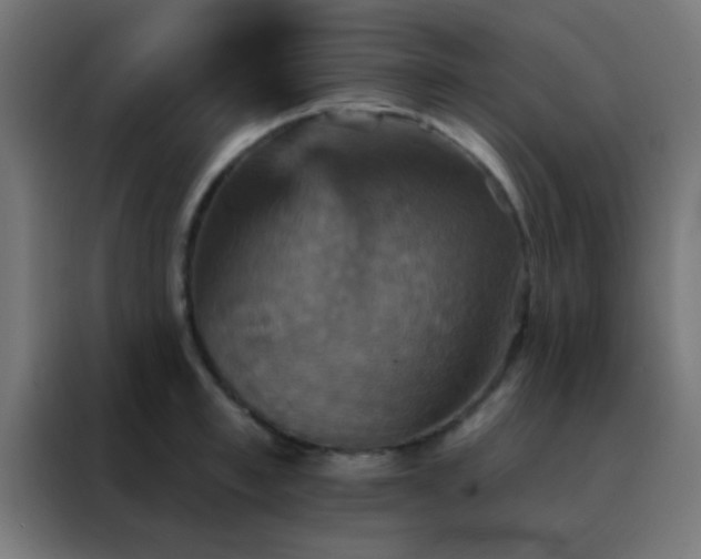 X0000088200997200705221719