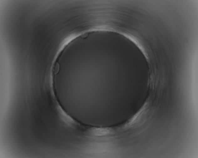 X0000088200998200705221719