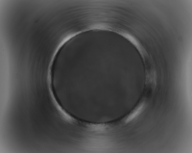 X0000088200999200705221719