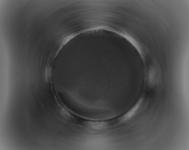 X0000088201001200705221719