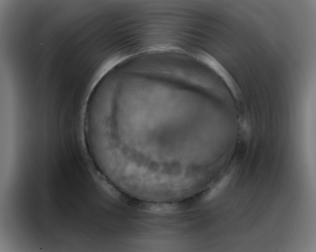 X0000088201002200705221719