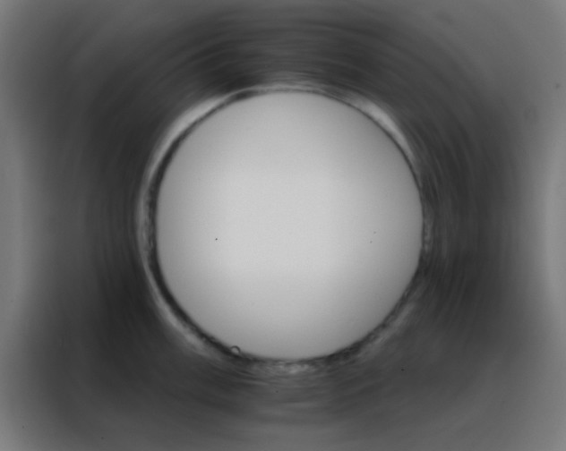 X0000088201003200705221719