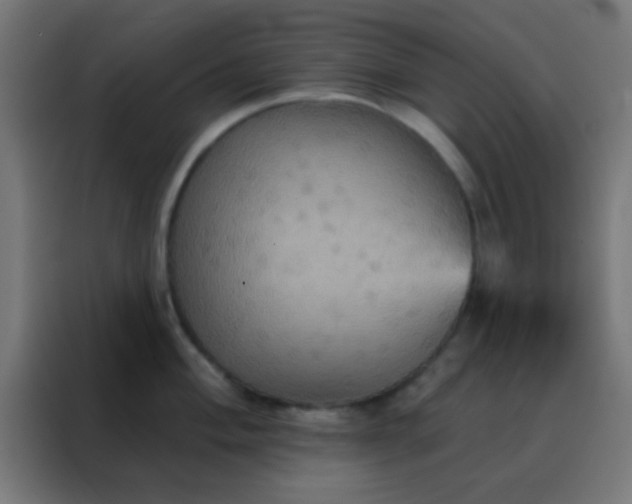X0000088201004200705221719