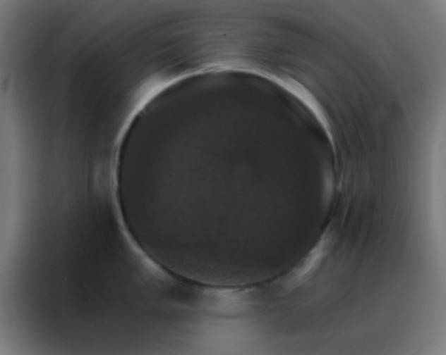 X0000088201005200705221719