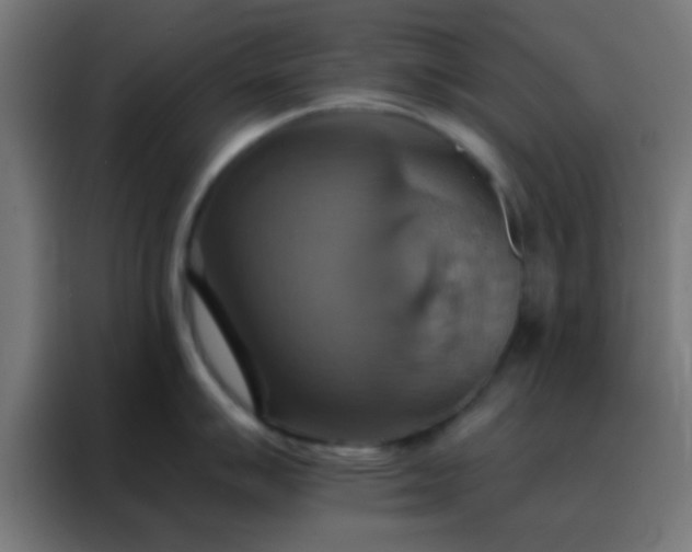 X0000088201007200705221719