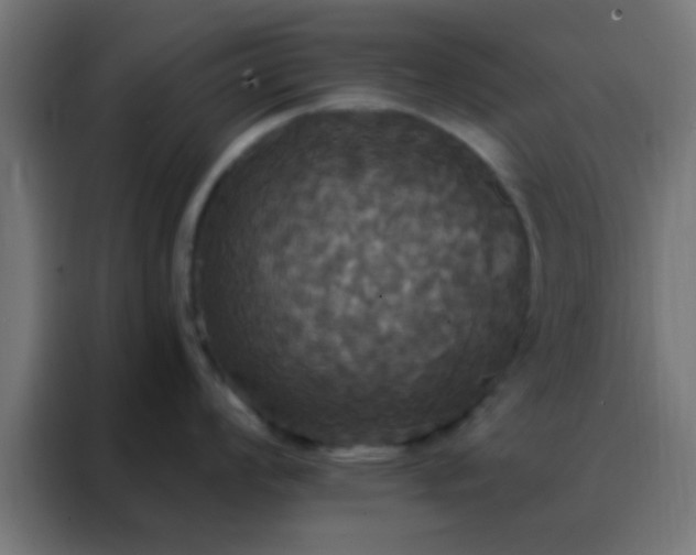 X0000088201008200705221719